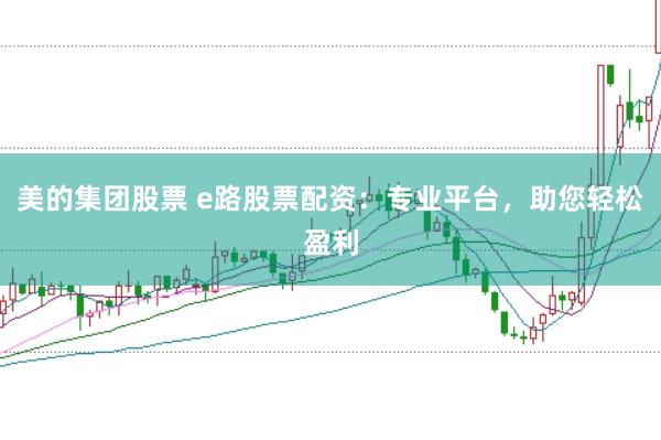 美的集团股票 e路股票配资：专业平台，助您轻松盈利
