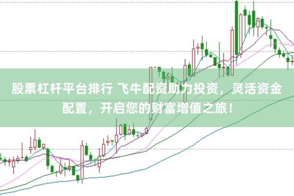 股票杠杆平台排行 飞牛配资助力投资，灵活资金配置，开启您的财富增值之旅！