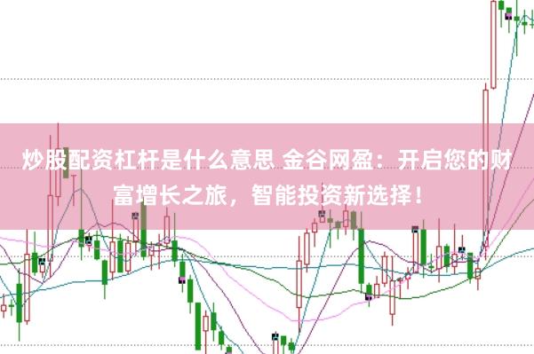 炒股配资杠杆是什么意思 金谷网盈：开启您的财富增长之旅，智能投资新选择！