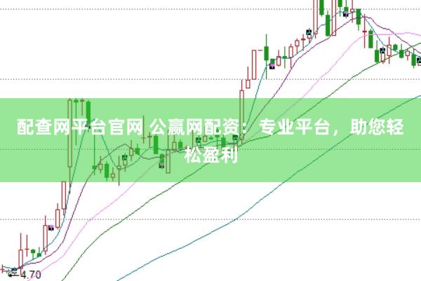 配查网平台官网 公赢网配资：专业平台，助您轻松盈利