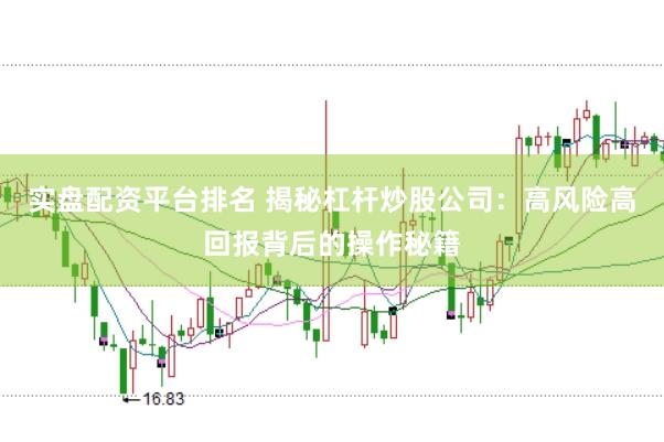 实盘配资平台排名 揭秘杠杆炒股公司：高风险高回报背后的操作秘籍