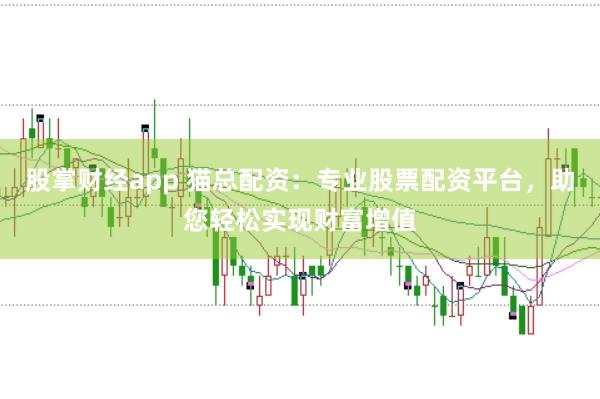 股掌财经app 猫总配资：专业股票配资平台，助您轻松实现财富增值