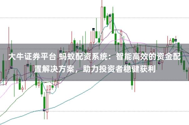 大牛证券平台 蚂蚁配资系统：智能高效的资金配置解决方案，助力投资者稳健获利