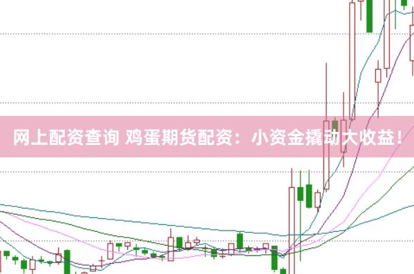 网上配资查询 鸡蛋期货配资：小资金撬动大收益！