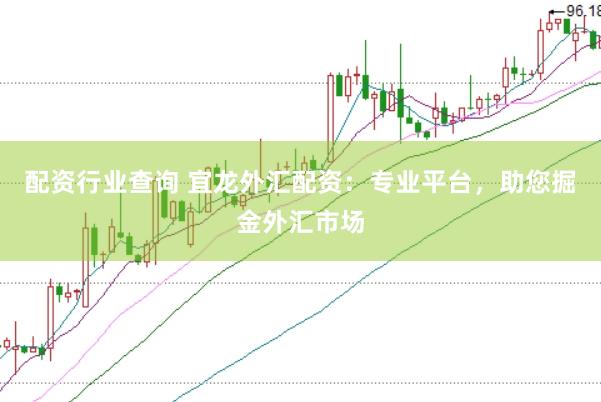 配资行业查询 宜龙外汇配资：专业平台，助您掘金外汇市场