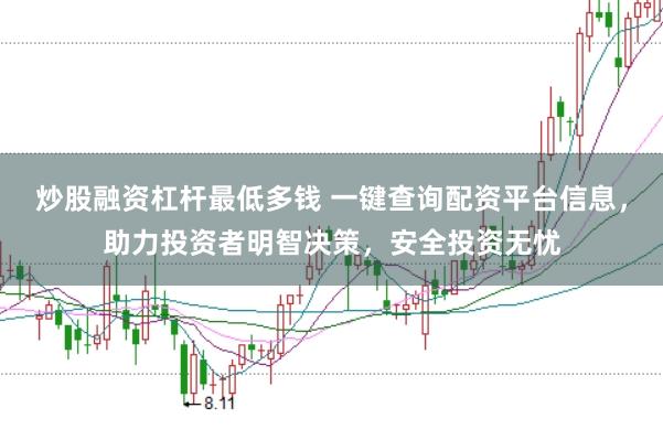 炒股融资杠杆最低多钱 一键查询配资平台信息，助力投资者明智决策，安全投资无忧