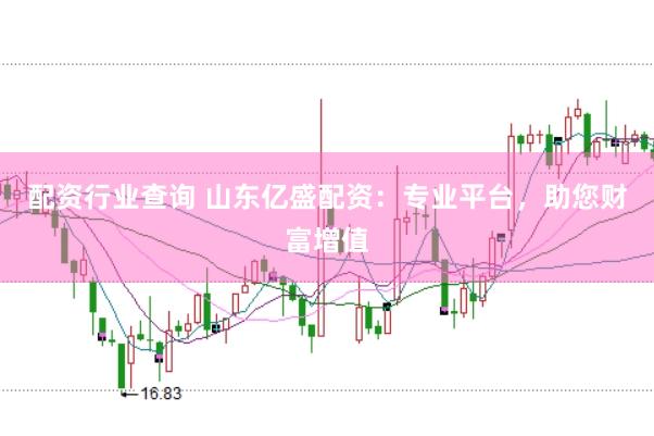 配资行业查询 山东亿盛配资：专业平台，助您财富增值