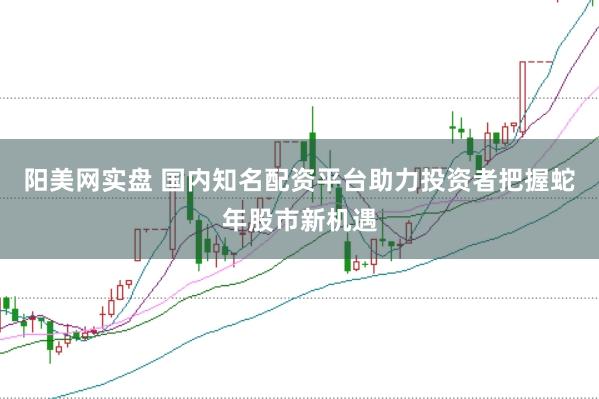 阳美网实盘 国内知名配资平台助力投资者把握蛇年股市新机遇