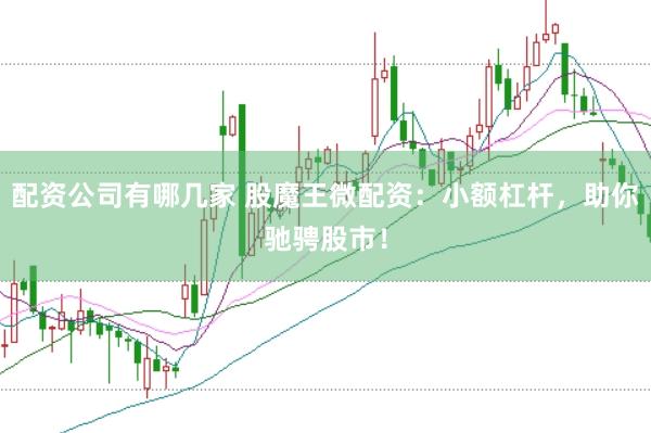 配资公司有哪几家 股魔王微配资：小额杠杆，助你驰骋股市！