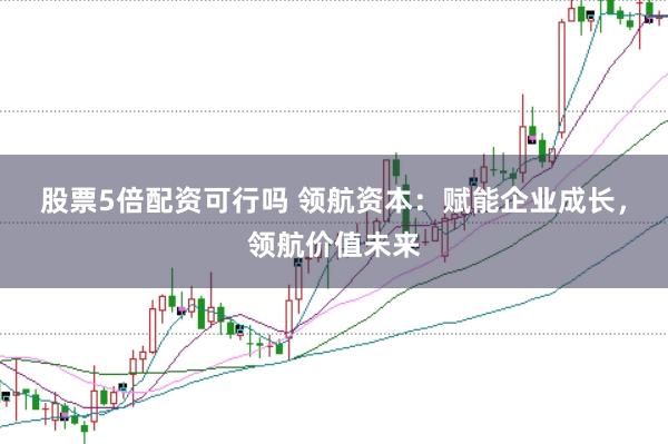 股票5倍配资可行吗 领航资本：赋能企业成长，领航价值未来