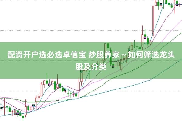 配资开户选必选卓信宝 炒股养家～如何筛选龙头股及分类