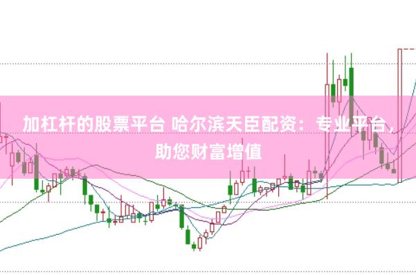 加杠杆的股票平台 哈尔滨天臣配资：专业平台，助您财富增值