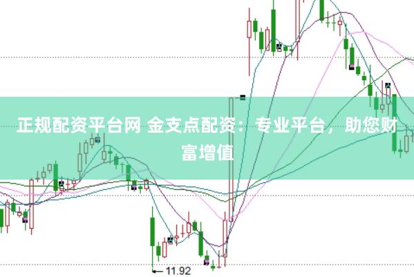正规配资平台网 金支点配资：专业平台，助您财富增值