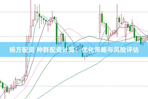 杨方配资 种群配资计算：优化策略与风险评估